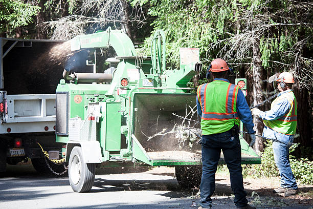 Lawn Watering Services in Brook Highland, AL